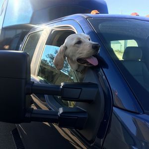 Meet your Posher, Kirk